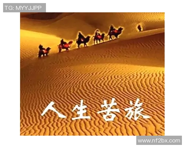 景菡一的成长之路：从平凡到卓越的心灵旅程与人生启示